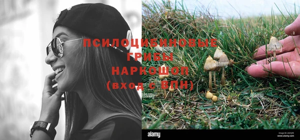 хмурый Шарыпово