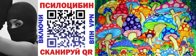 Псилоцибиновые грибы Cubensis Купить закладки Нариманов
